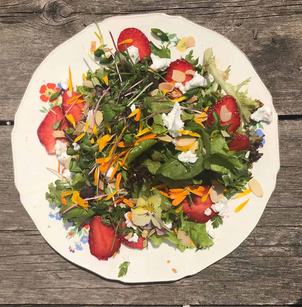 Plated-Salad