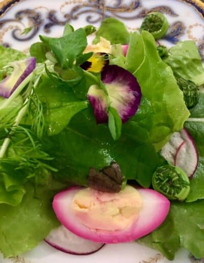 Salad with greens and an egg